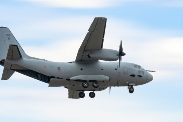 nicusor dan s a dus la vilnius cu un avion spartan al fortelor aeriene romane ce aeronave folosesc celelalte delegatii 683d67e03b9e3