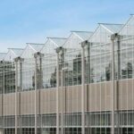 nou jucator richel group unul dintre liderii europeni in domeniu intra in romania 68475771a37dd