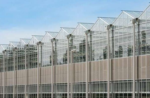 nou jucator richel group unul dintre liderii europeni in domeniu intra in romania 68475771a37dd