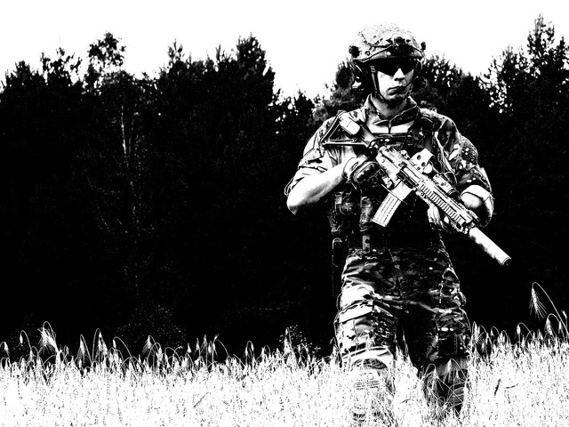 politistii si cadrele militare inclusiv rezervistii nu vor mai putea presta activitati militare ori de securitate in privat sub sanctiunea inchisorii mentinere in activitate pana la 65 de ani inc 685cd1a8c51d8
