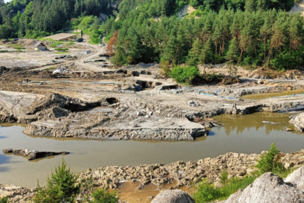prefectul judetului mures toata lumea vorbeste de praid dar efectele din zona tarnavei sunt mult mai mari 6855773f72f0a