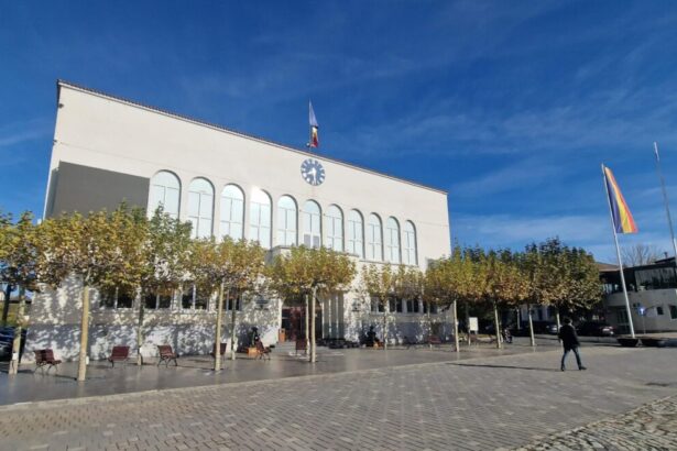 primaria cernavoda contract important cu firma unui afacerist cunoscut fost consilier local 685a2b2ff01fd