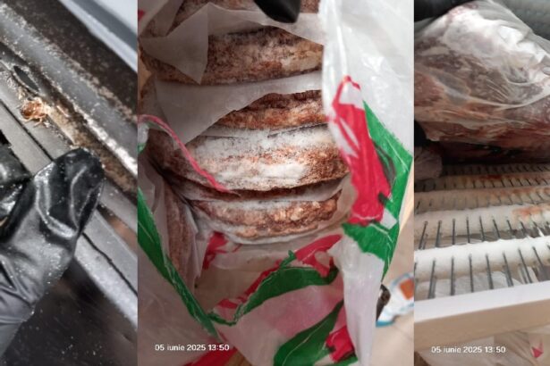 probleme grave de igiena cui apartine restaurantul e cafe din navodari inchis temporar de comisarii de la protectia consumatorilor constanta 6841b5ecd9c6f