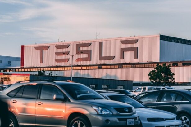 proces colectiv impotriva tesla in franta un grup de proprietari da compania in judecata pe motiv ca implicarea lui elon musk in politica a facut masinile sa devina un simbol al extremei dr 684adb36eea50