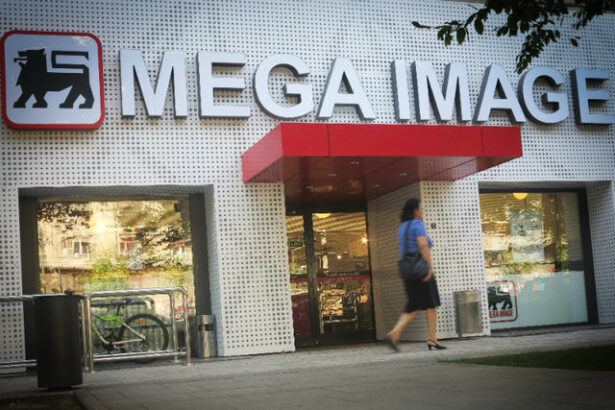 profi si mega image acum sub aceeasi umbrela a ahold delhaize urca vanzarile in romania 683d973a92b55