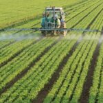 randamentele agricole mondiale vor scadea cu procente cuprinse intre 11 si 24 pana in 2100 6853cbf406779
