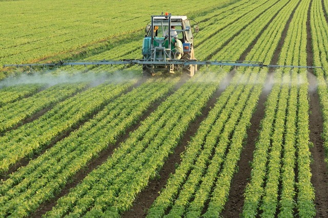 randamentele agricole mondiale vor scadea cu procente cuprinse intre 11 si 24 pana in 2100 6853cbf406779
