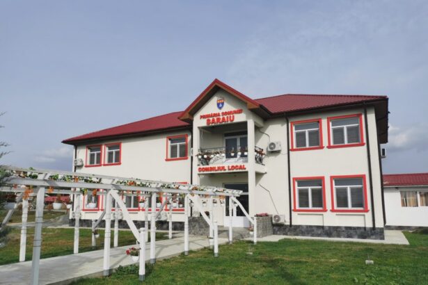 sase localitati din constanta vor ramane fara viceprimari din 2026 6859e139363bb