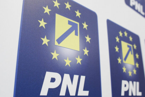 sedinta la pnl liberalii voteaza un nou statut si pregatirea congresului din iulie 685f99c80948b