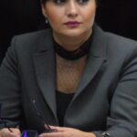 sefa anaf va da explicatii parlamentului despre evaziunea fiscala si colectarea deficitara a taxelor 68498d5aefa2f
