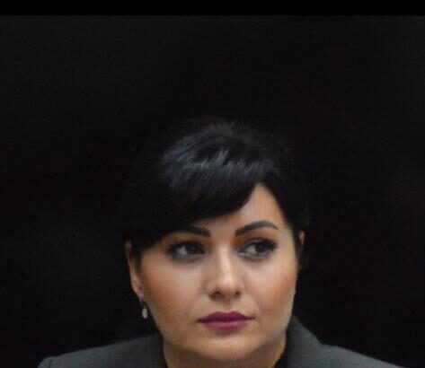sefa anaf va da explicatii parlamentului despre evaziunea fiscala si colectarea deficitara a taxelor 68498d5aefa2f