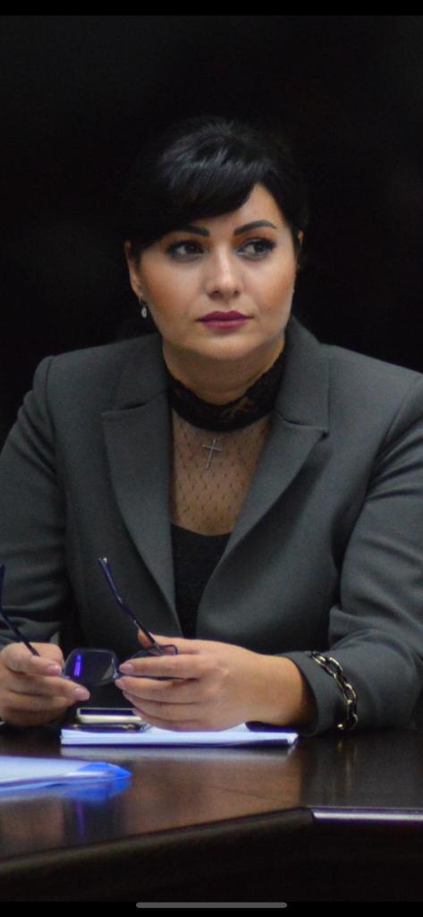 sefa anaf va da explicatii parlamentului despre evaziunea fiscala si colectarea deficitara a