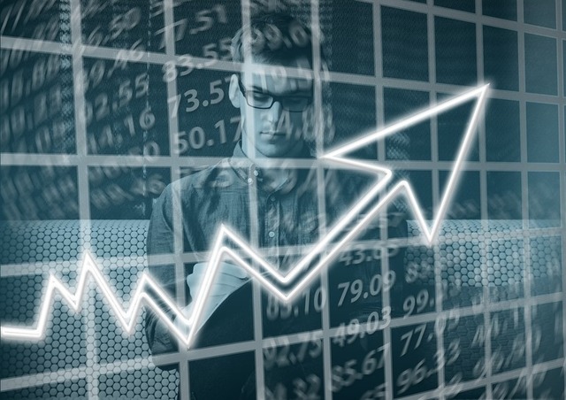 sii romania in 2024 afaceri si profit net in crestere 685e233f29c73