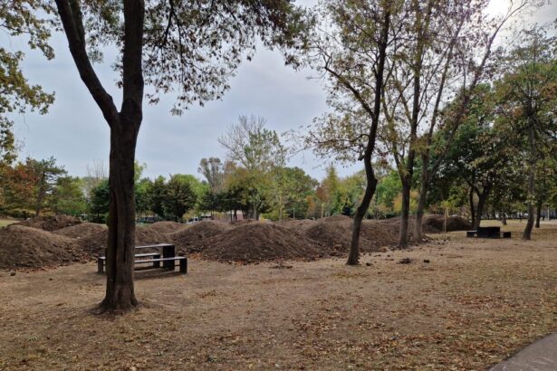 socant un minor a fost gasit spanzurat in parcul tabacarie 683e828aba9e9