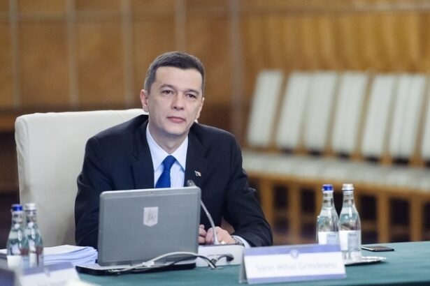 sorin grindeanu ales presedinte al camerei deputatilor 685a8db83c732