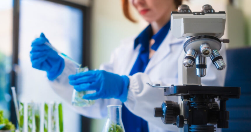 Speranță în lupta cu cancerul pancreatic: Un nou test descoperit în Marea Britanie promite depistarea timpurie. 1 speranta in lupta cu cancerul pancreatic un nou test descoperit in marea britanie promite depistarea timpurie 685255afdcb8f