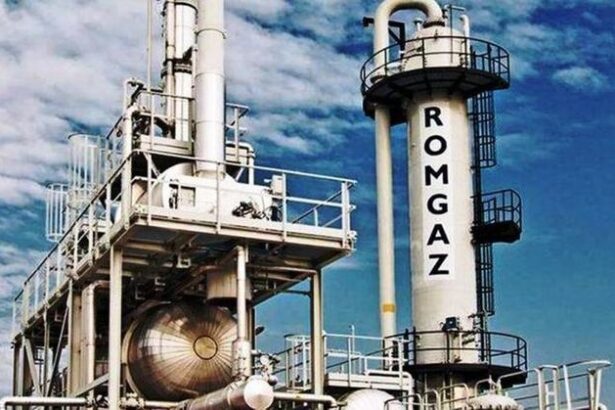 statul propune administrator provizoriu la romgaz directoarea de investitii a aeroportului din sibiu care a lucrat si pentru catalin botezatu 68509273a191f