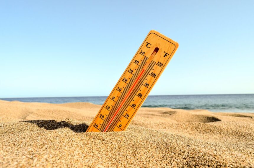 Temperaturi extreme în Dobrogea: AMN anunță peste 35 de grade Celsius, ploi, vijelii și căderi de grindină 1 temperaturi de foc in dobrogea amn anunta peste 35 de grade celsius ploi vijelii si caderi de grindina 68529316c84dc