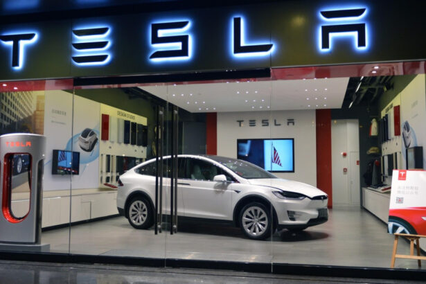 tesla pierde teren in europa in fata masinilor chinezesti vanzarile companiei americane au scazut pentru a cincea luna consecutiv 685cc68c272e3