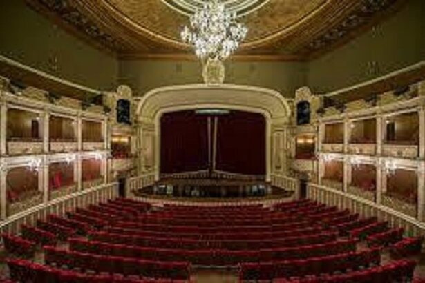 toti elevii care au luat bac ul cu media 10 au acces gratuit la opera nationala bucuresti in stagiunea urmatoare 685594ed233a4