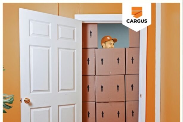 tranzactia prin care cargus va fi preluata de sameday pe masa concurentei 686276a98863f