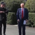trump versus musk 10 moduri in care isi pot face rau reciproc 6843e161253e1