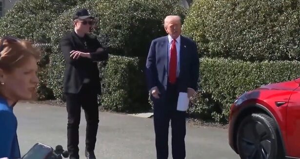 trump versus musk 10 moduri in care isi pot face rau reciproc 6843e161253e1
