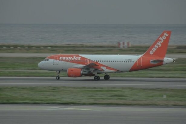 un avion care zbura de la budapesta la lyon a aterizat de urgenta in austria dupa ce in cabina pilotilor a aparut fum 6847c7c7d546a