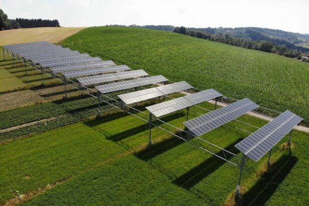 un grup spaniol va construi un parc agrofotovoltaic in judetul iasi 68621ecb79b58