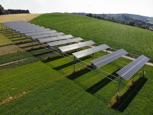 Un grup spaniol va realiza un parc agrofotovoltaic în județul Iași 1 un grup spaniol va construi un parc agrofotovoltaic in judetul iasi 68621ecb79b58