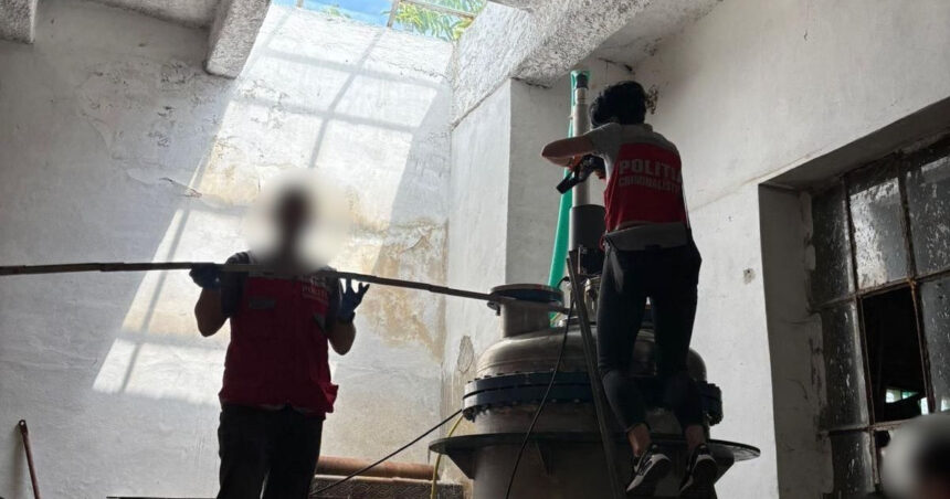 Descoperirea unuia dintre cele mai mari laboratoare de droguri sintetice din România într-un depozit din Brașov. Ce au găsit anchetatorii 1 unul dintre cele mai mari laboratoare de droguri sintetice din romania descoperit intr un depozit din brasov ce au gasit anchetatorii 6856d6cf4da34