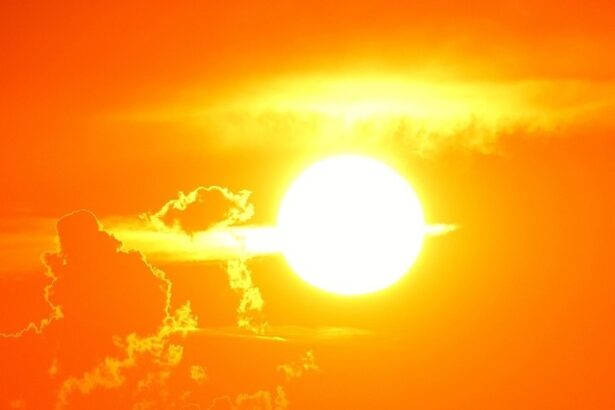 valul de caldura sufoca europa temperaturi de peste 40 de grade celsius in mai multe tari 685f9b5348cfb