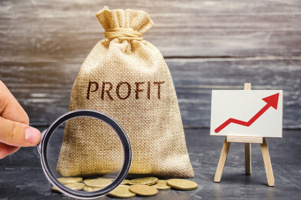 vesti proaste pentru guvern companiile de stat incep anul cu cel mai slab profit dupa 2021 statul s a obisnuit cu venituri mari din dividende 6851f84a498df
