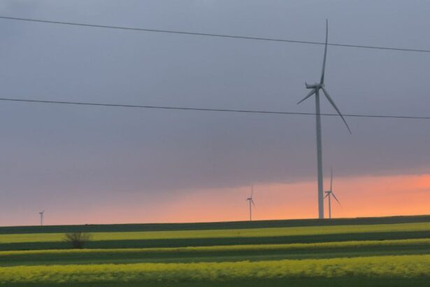 vezi aici cum va fi vremea in dobrogea zilele acestea meteorologii au anuntat cand va ploua 6847c7c39f678