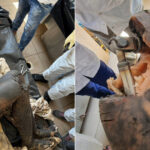 video alerta falsa la ploiesti o papusa de plastic a fost transportata la inml dupa ce a fost confundata cu cadavrul unei femei 685ac17828291