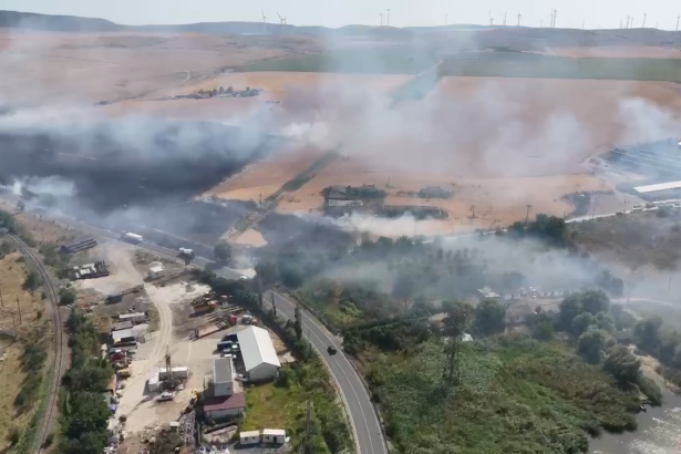 video alerta in babadag culturi in flacari fum dens si risc de extindere catre ferme si gospodarii 685ea55982284