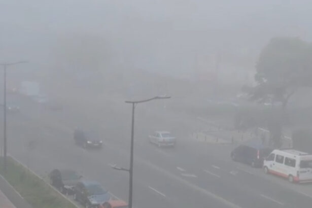 video alerta meteo pe litoral cod galben de ceata au fost impuse restrictii in porturile constanta nord si sud agigea 684283add6357