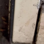 video comisarii anpc au controlat din nou restaurantul chinezesc dintr un mall al capitalei gandaci produse expirate si pereti murdari 685783179762a