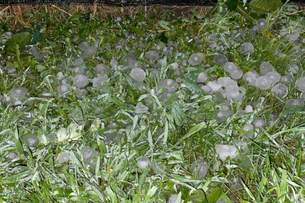video grindina a facut prapad in localitatile afectate de codul rosu de furtuni culturi agricole si gradini distruse 684069cbcb951