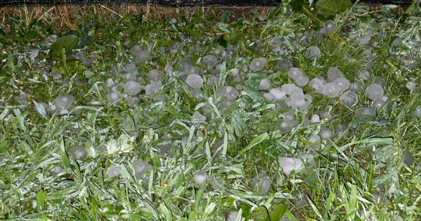 video grindina a facut prapad in localitatile afectate de codul rosu de furtuni culturi agricole si gradini distruse 684069cbcb951
