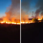 video incendiu de vegetatie filmat de o localnica din murfatlar vai ce mare e 685796429165f