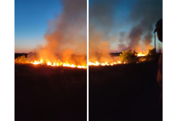 video incendiu de vegetatie filmat de o localnica din murfatlar vai ce mare e 685796429165f