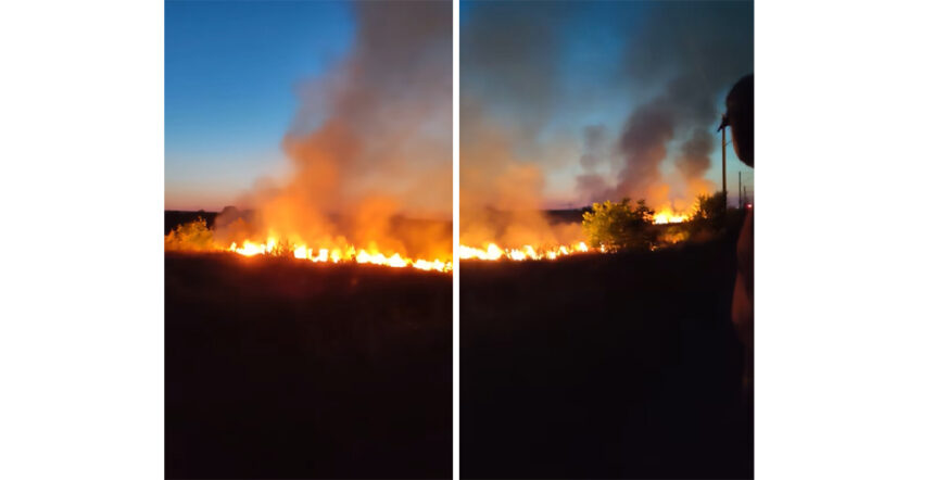 video incendiu de vegetatie filmat de o localnica din murfatlar vai ce mare e 685796429165f