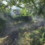 Incendiu de vegetație la intrarea în Mamaia: Pompierii au intervenit de urgență în apropierea bazei Tenis Club 3 video incendiu de vegetatie la intrarea in mamaia pompierii au intervenit de urgenta in apropierea bazei tenis club 683c654c0fbac