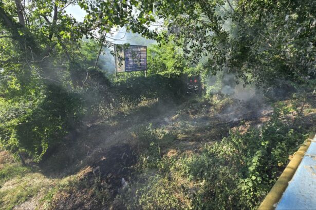video incendiu de vegetatie la intrarea in mamaia pompierii au intervenit de urgenta in apropierea bazei tenis club 683c654c0fbac