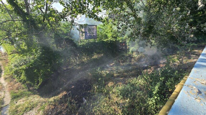 Incendiu de vegetație la intrarea în Mamaia: Pompierii au intervenit de urgență în apropierea bazei Tenis Club 1 video incendiu de vegetatie la intrarea in mamaia pompierii au intervenit de urgenta in apropierea bazei tenis club 683c654c0fbac