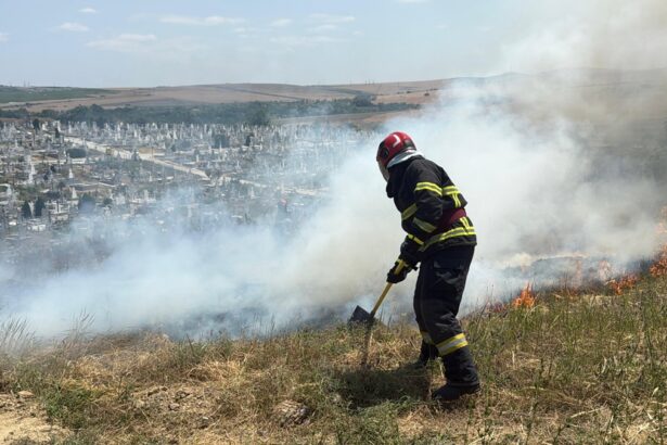video incendiu de vegetatie uscata in cimitirul din tulcea pompierii actioneaza cu trei autospeciale 6852a82029d6b