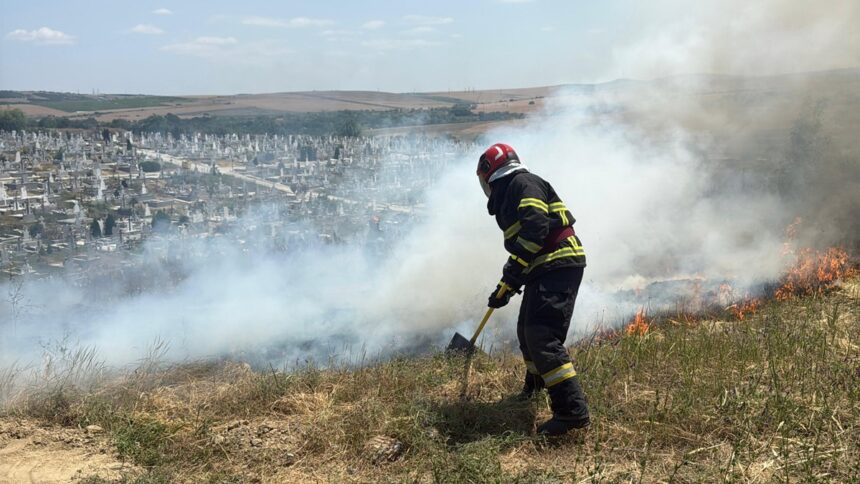 Incendiu de vegetație uscată în cimitirul din Tulcea, cu intervenția pompierilor folosind trei autospeciale. 1 video incendiu de vegetatie uscata in cimitirul din tulcea pompierii actioneaza cu trei autospeciale 6852a82029d6b