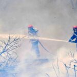 video incendiu de vegetatie uscata in harsova flacarile au cuprins aproximativ 2 hectare 6857cb80781b1