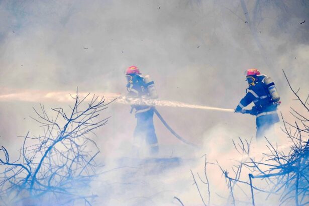 video incendiu de vegetatie uscata in harsova flacarile au cuprins aproximativ 2 hectare 6857cb80781b1